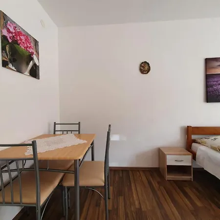 Topalovic 코스트레나