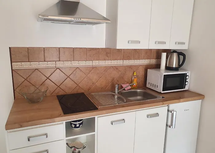 Topalovic Appartement *