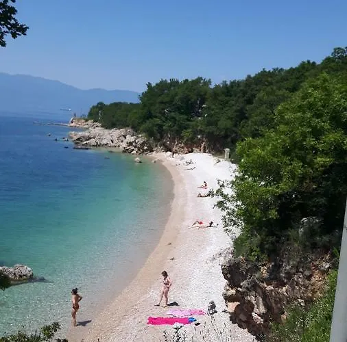 Διαμέρισμα Topalovic *